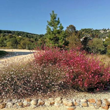 Les Maisons Dans Les Vignes Villa Joyeuse